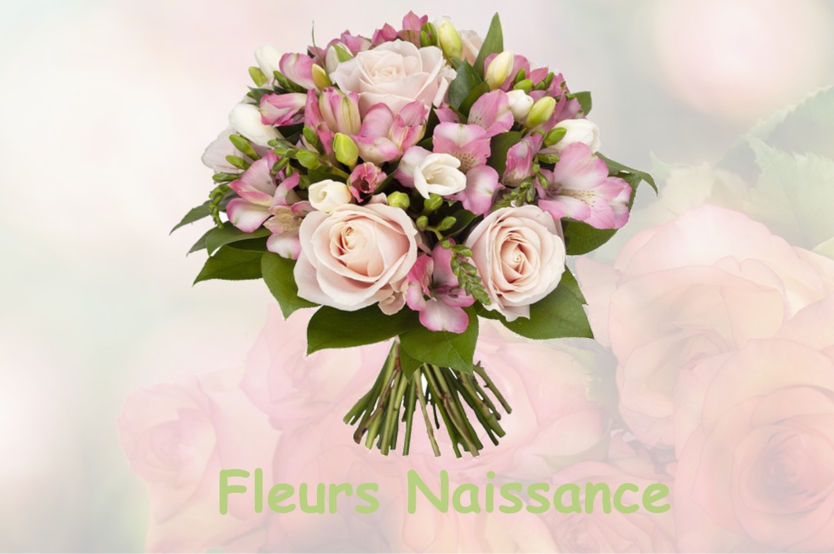 fleurs naissance GUINDRECOURT-SUR-BLAISE