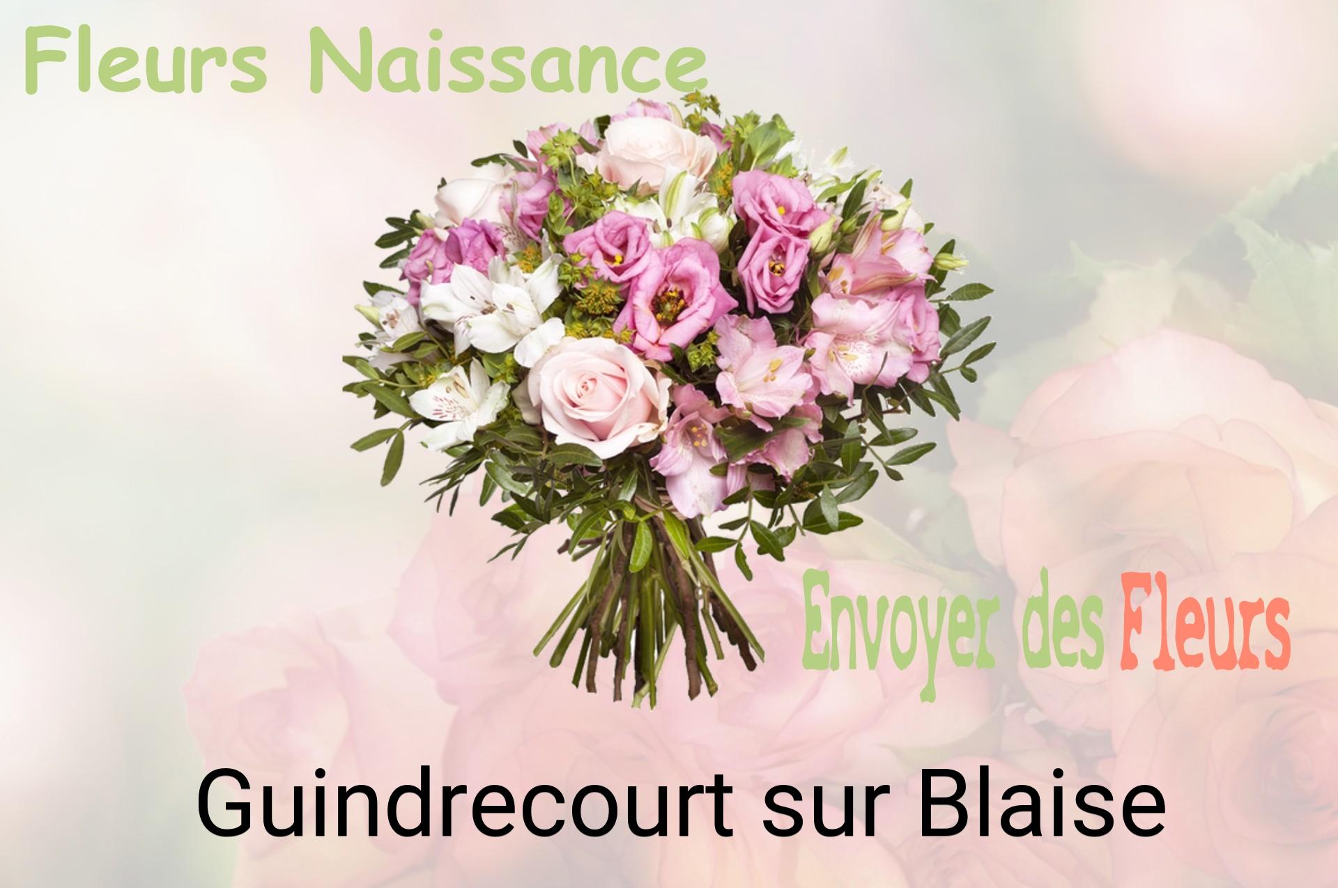 Bouquet de fleurs de naissance livré à Guindrecourt-sur-Blaise